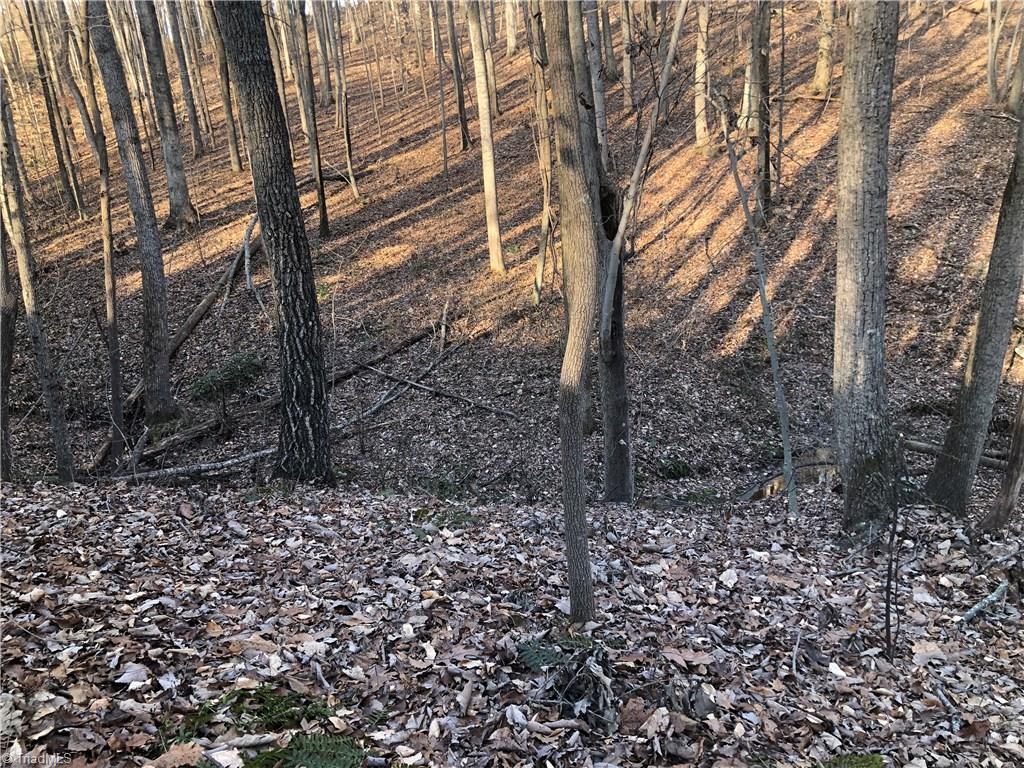 5.8-ac Augusta Hicks Road Walnut Cove, NC 27052 - Photo 4 of 15 Gallery Image 4