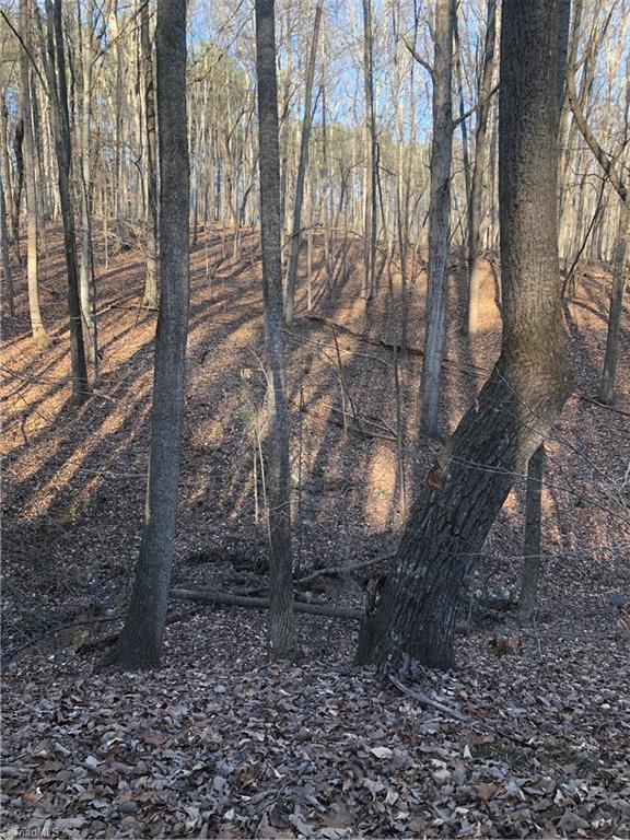 5.8-ac Augusta Hicks Road Walnut Cove, NC 27052 - Photo 6 of 15 Gallery Image 6