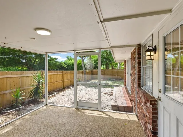 a view of a backyard with plants and large tree