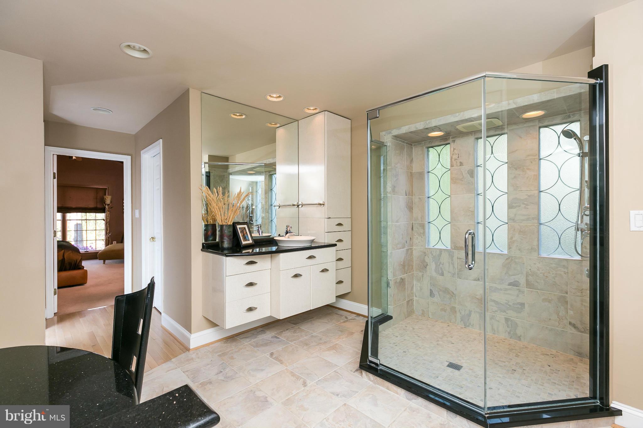 27 Shadow Point Court Edgewater, MD 21037 - Photo 17 of 29 Deluxe tile shower with massage jets