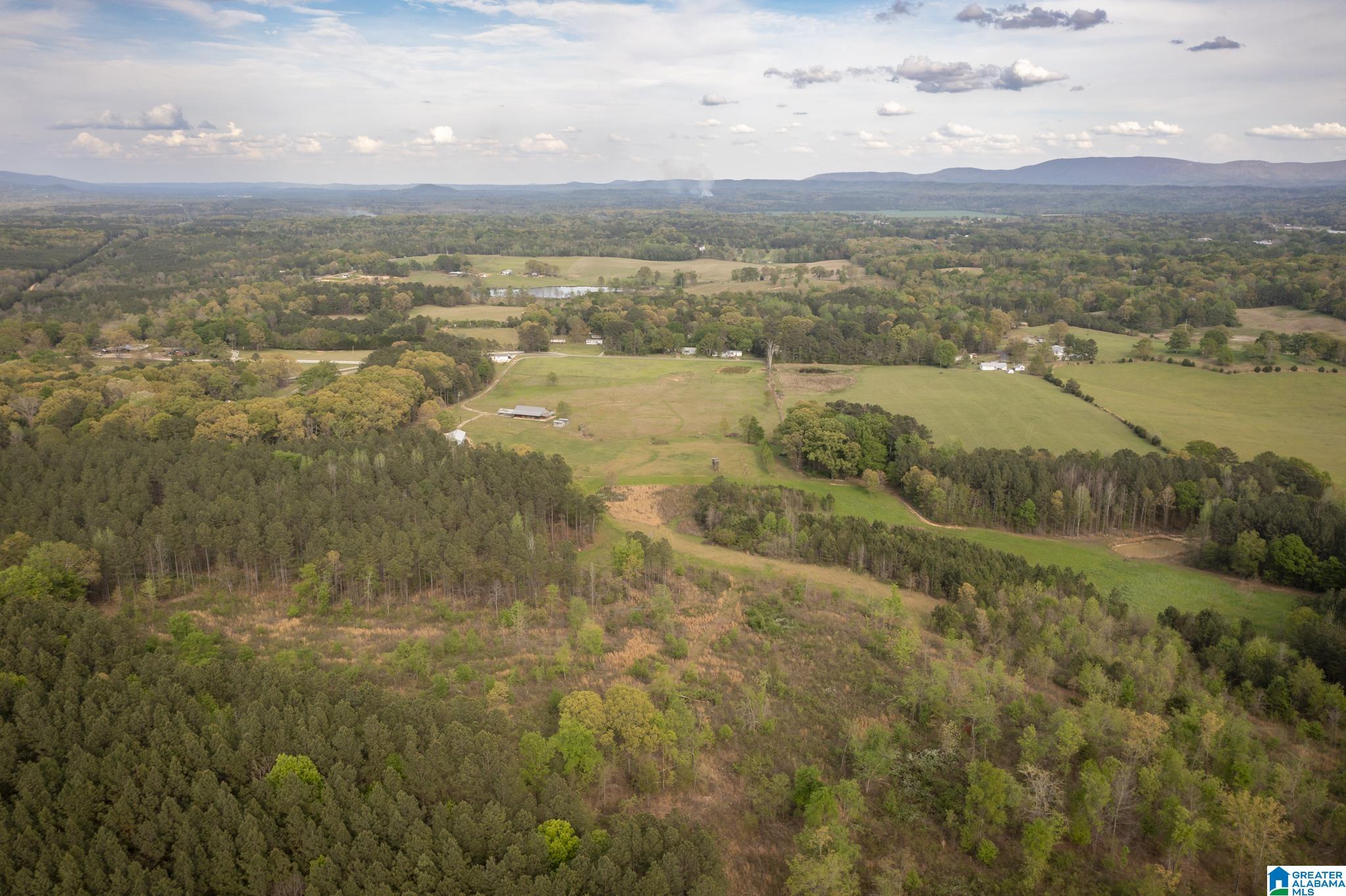 1325 Ledbetter Road Munford, AL 36268 - Photo 26 of 85
