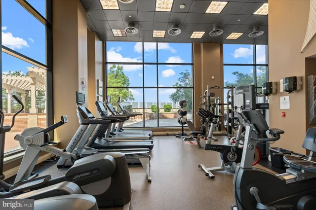 $2,100 | 2451 Midtown Avenue, Unit 921, Alexandria, VA 22303