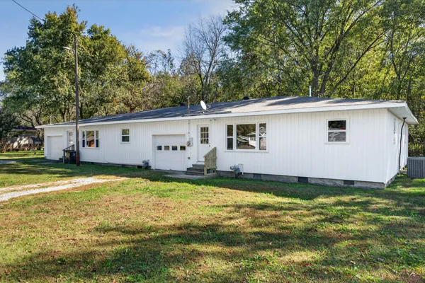 a view of a backyard with plants and a large tree