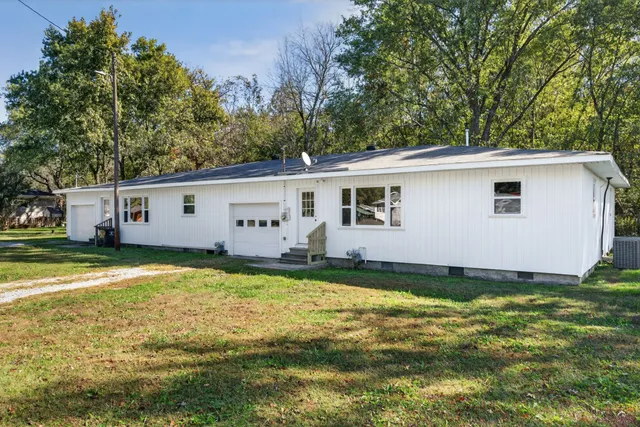 a view of a backyard with plants and a large tree