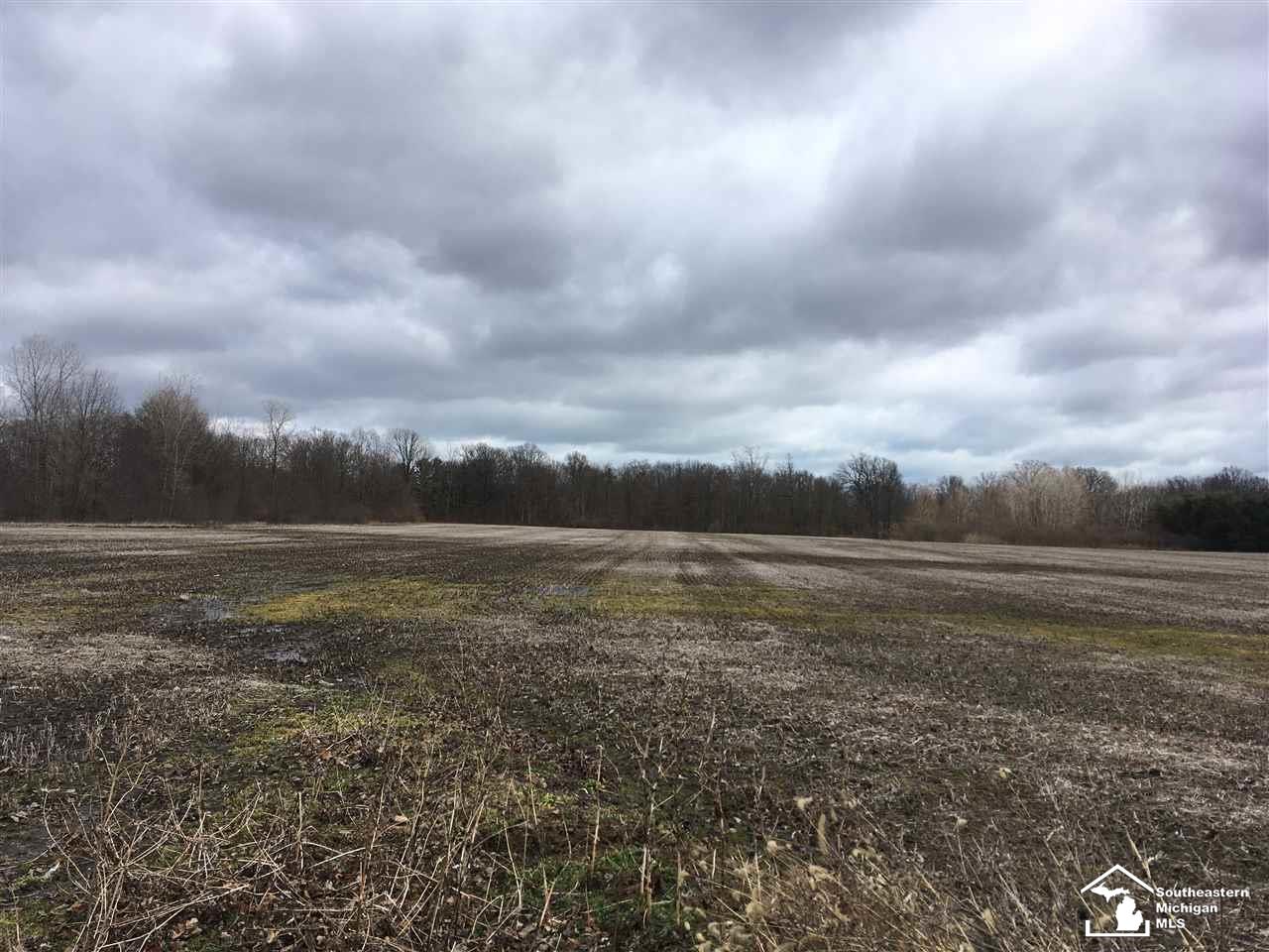 0 Goutz Road Monroe, MI 48161 - Photo 3 of 3