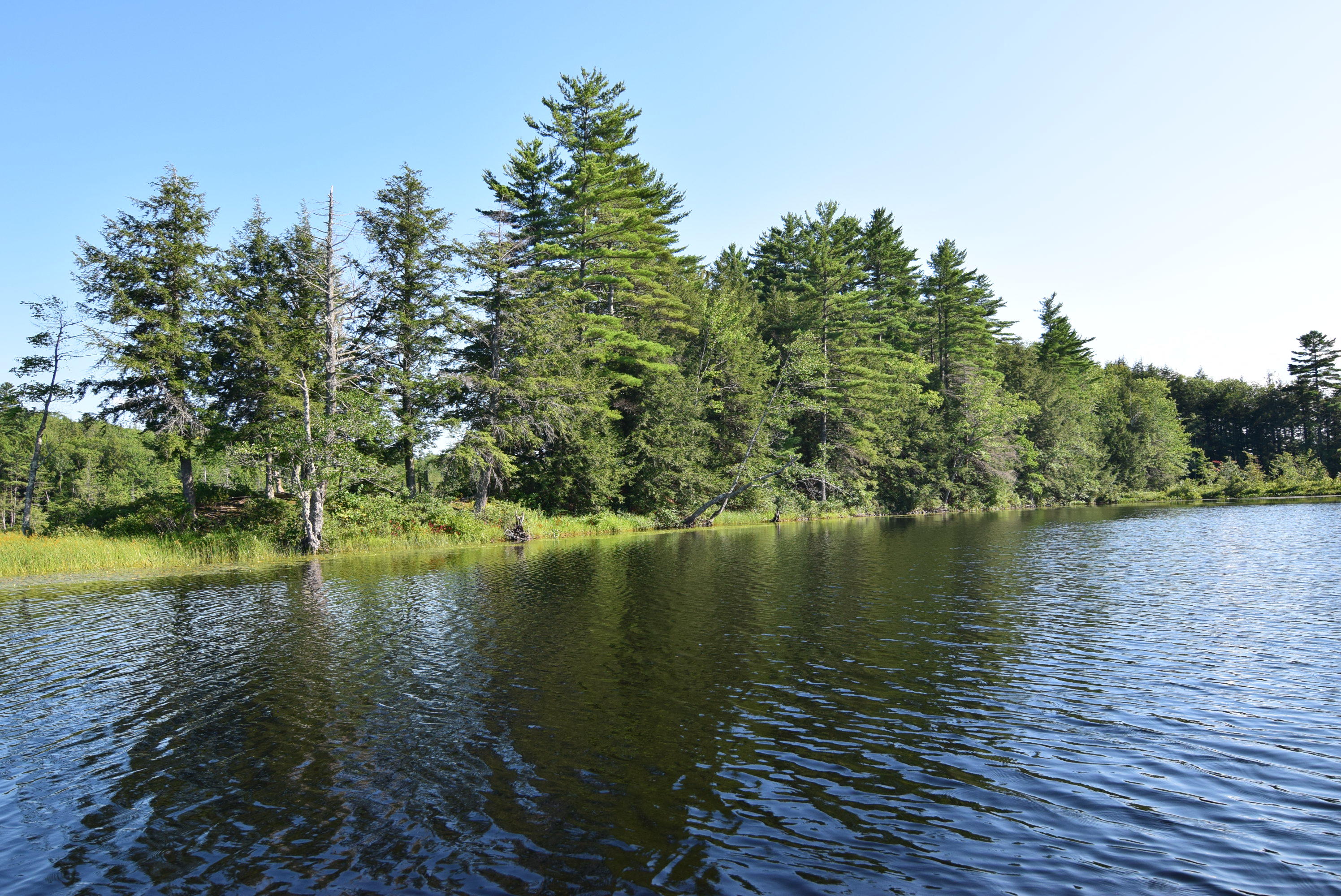 236 Chesterville Ridge Road Kents Hill, ME 04349 - Photo 41 of 41 41-island