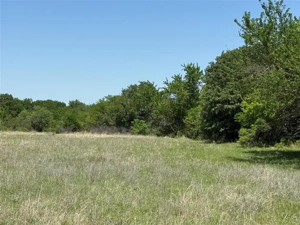 a view of a field with trees in the background