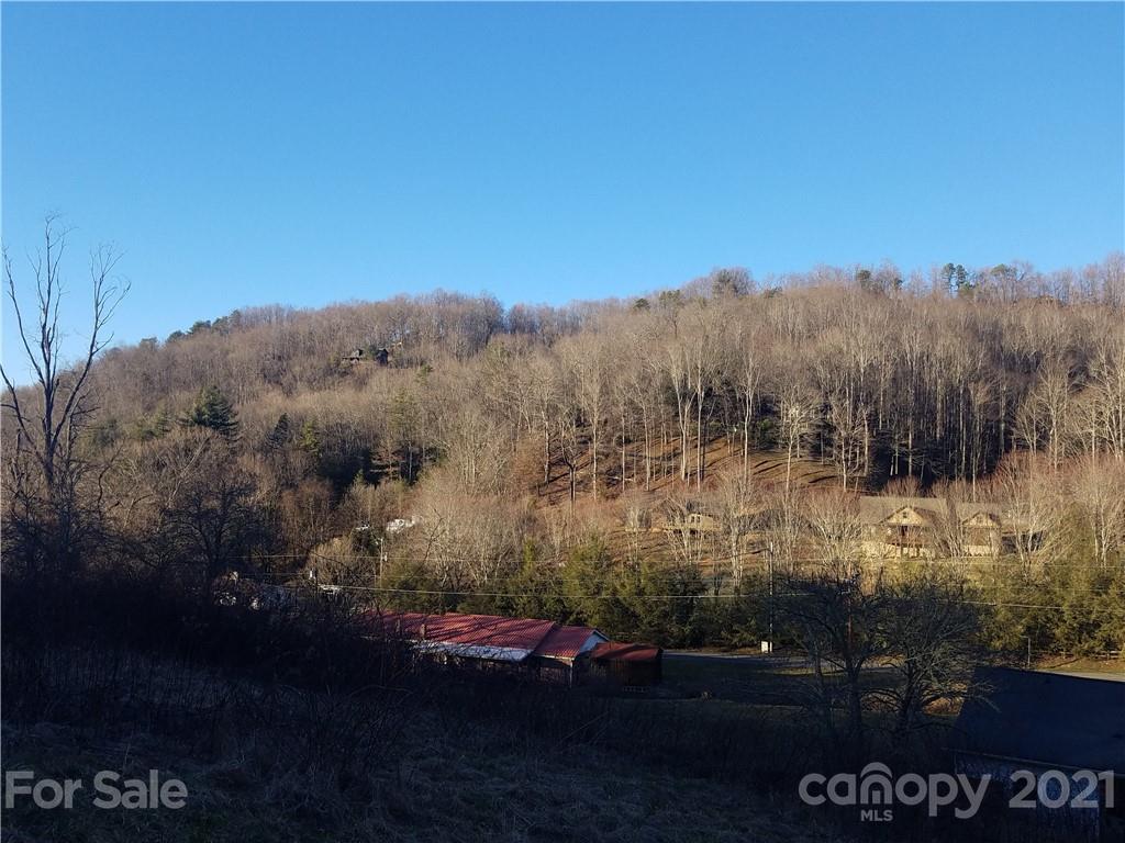 1118 Camp Branch Road Waynesville, NC 28786 - Photo 26 of 30 a view of a yard