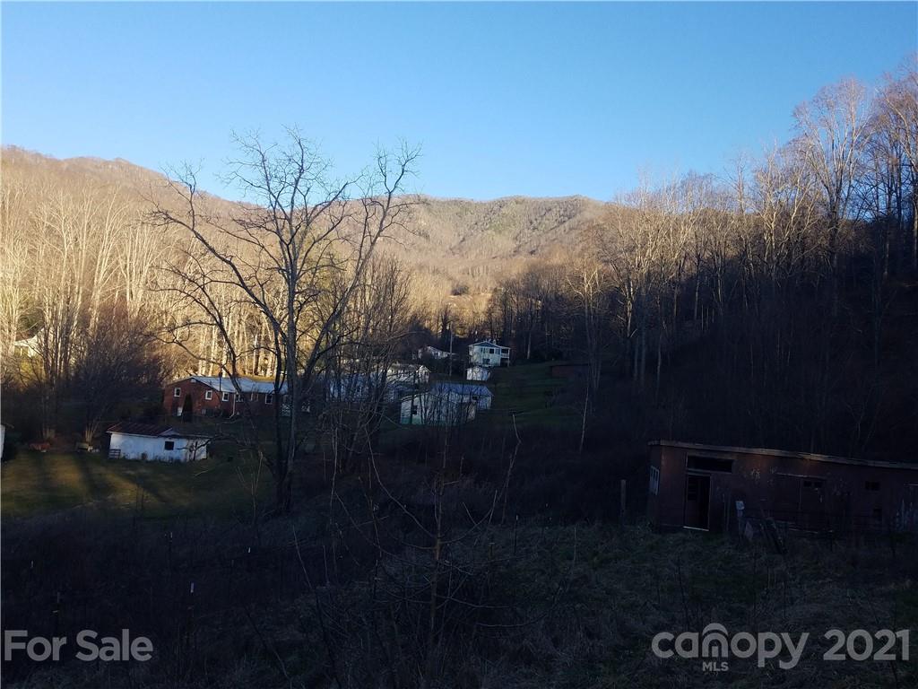 1118 Camp Branch Road Waynesville, NC 28786 - Photo 28 of 30 a view of outdoor space and yard