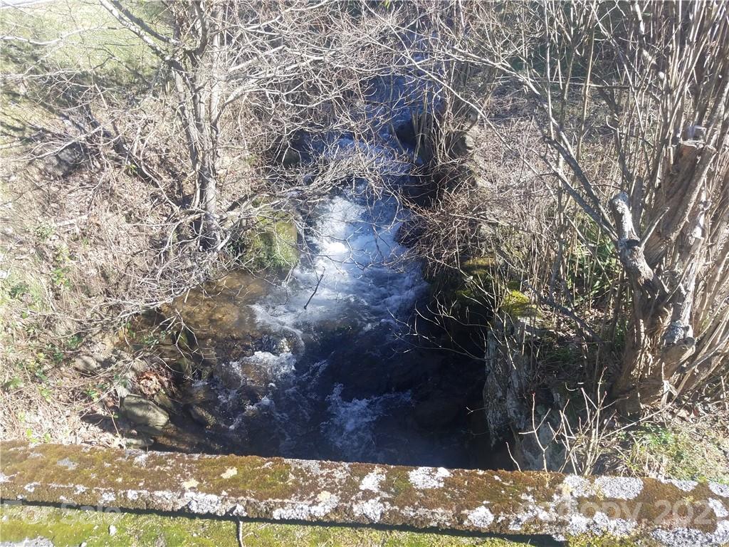 1118 Camp Branch Road Waynesville, NC 28786 - Photo 10 of 30 a view of a yard