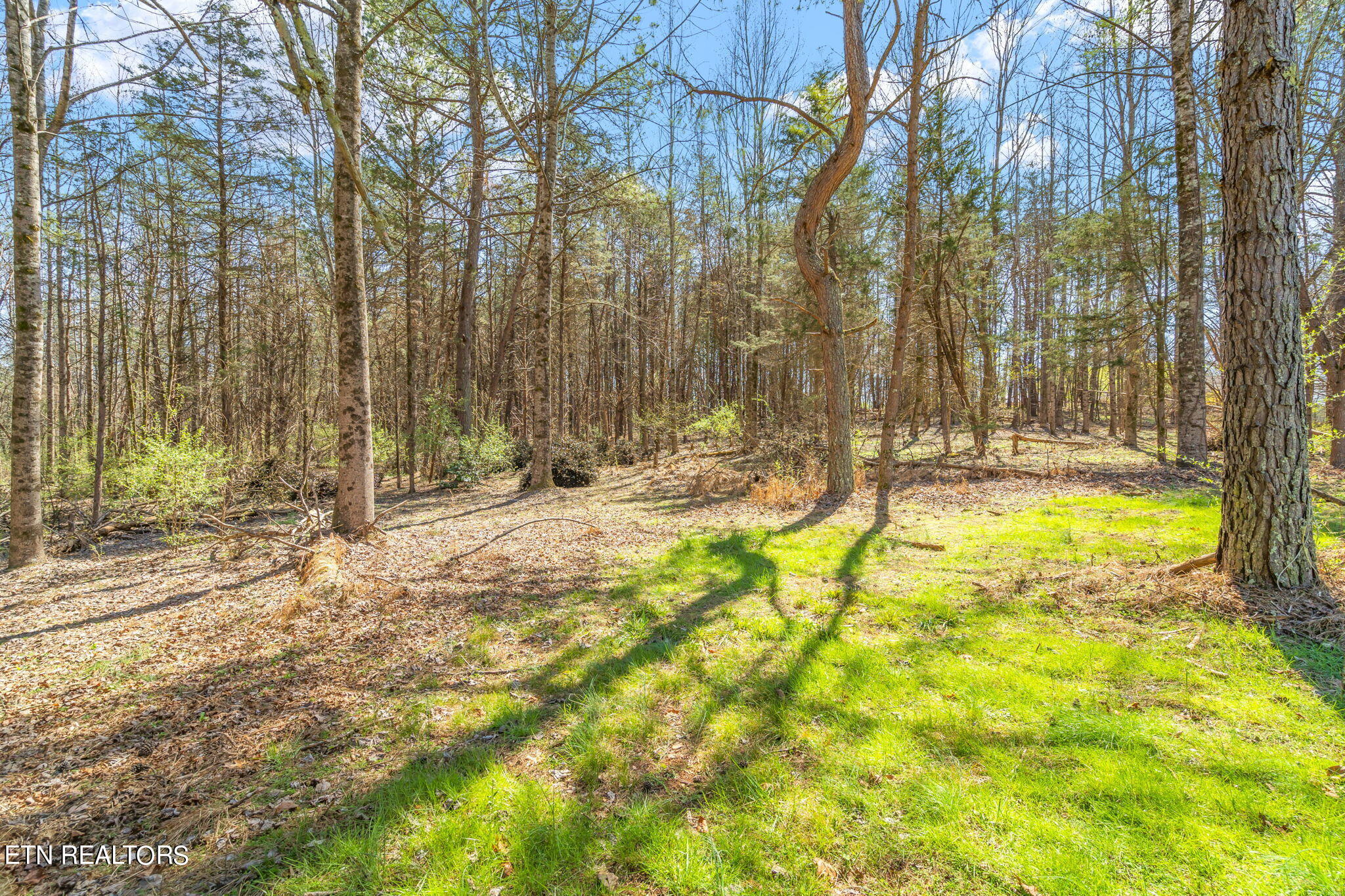 1167 Cloyds Church Road Greenback, TN 37742 - Photo 30 of 40 10-web-or-mls-1167 Cloyds Church Road-9