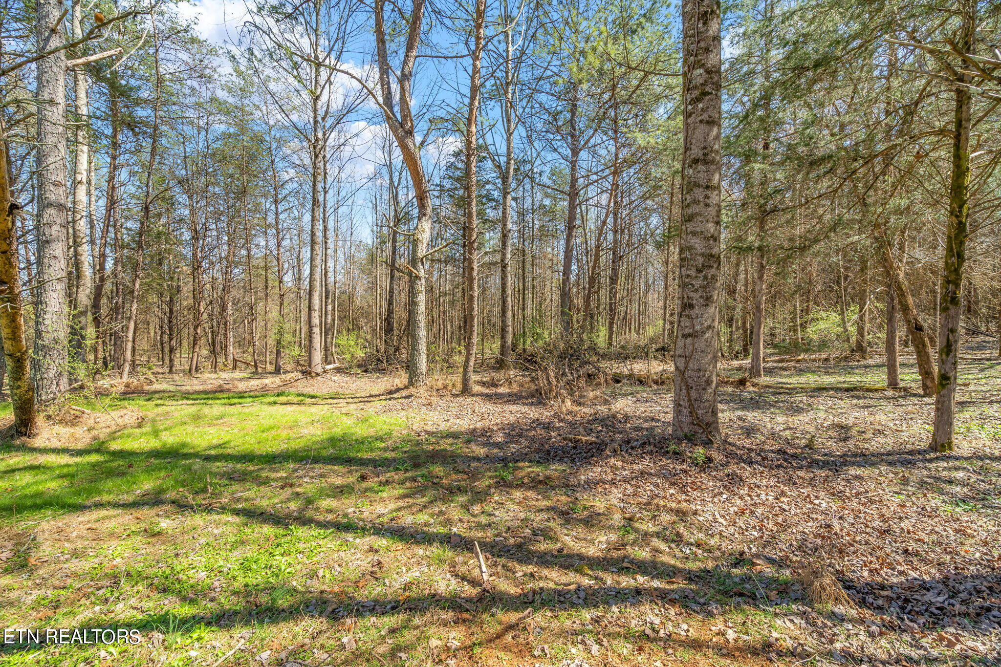 1167 Cloyds Church Road Greenback, TN 37742 - Photo 32 of 40 9-web-or-mls-1167 Cloyds Church Road-8