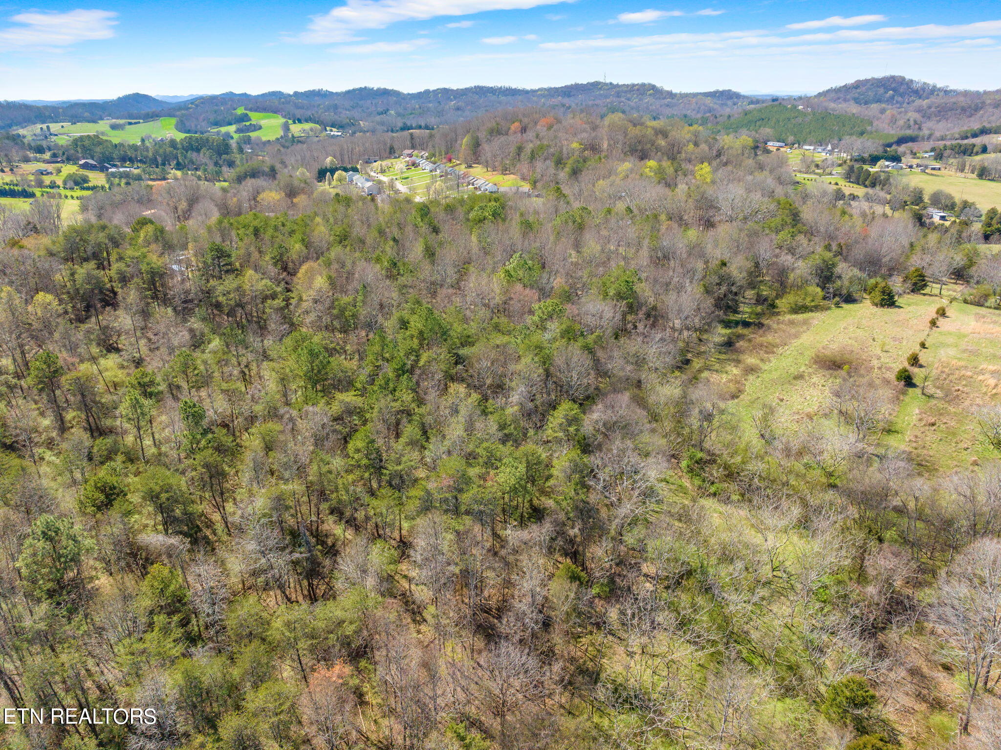 1167 Cloyds Church Road Greenback, TN 37742 - Photo 7 of 40 57-web-or-mls-1167 Cloyds Church Road-57