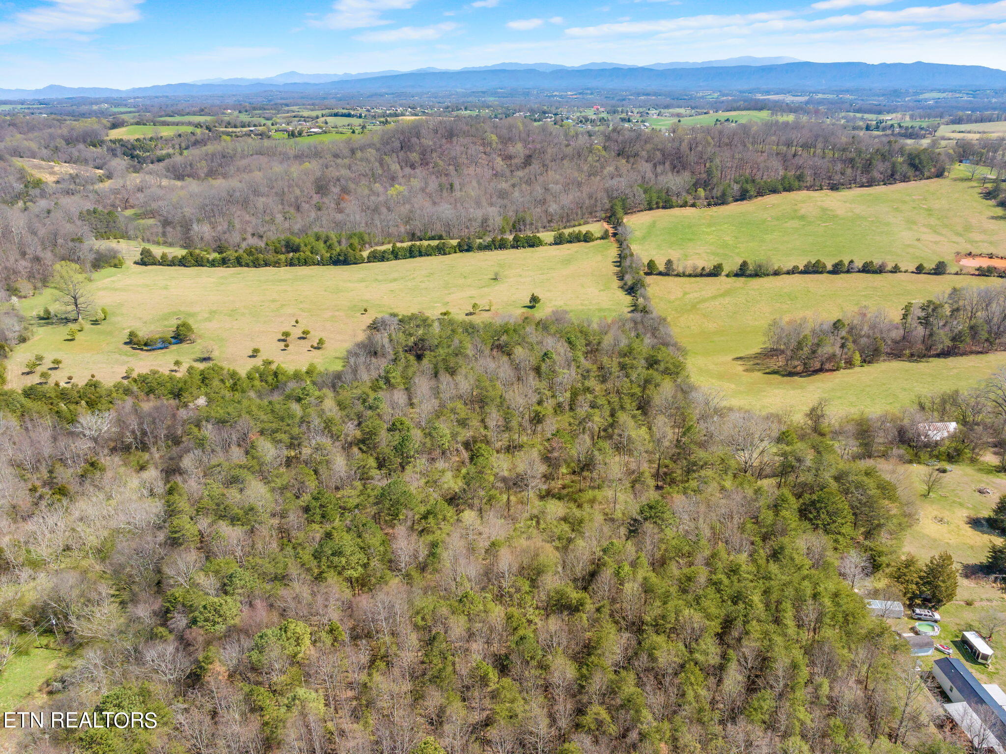 1167 Cloyds Church Road Greenback, TN 37742 - Photo 8 of 40 54-web-or-mls-1167 Cloyds Church Road-54