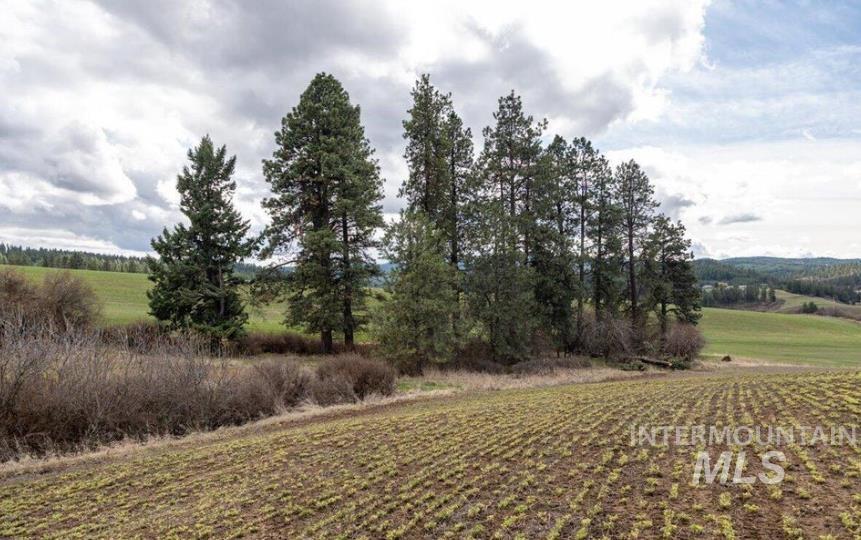 Nka Clifford Road Princeton, ID 83857 - Photo 1 of 21 View of yard featuring a rural view