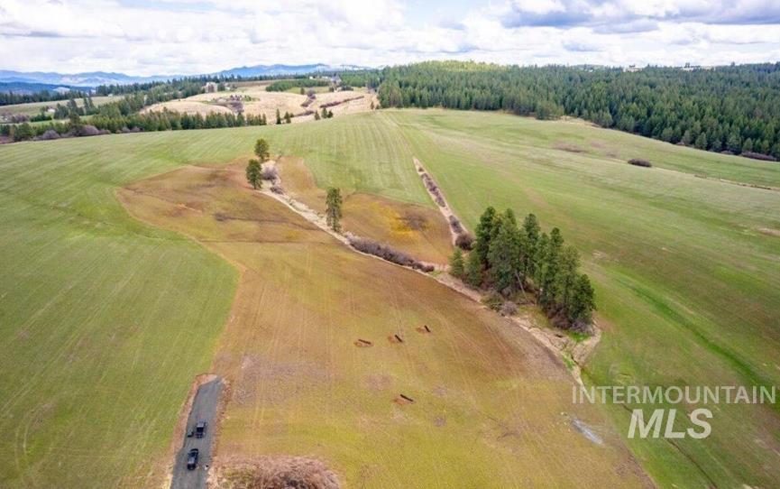Nka Clifford Road Princeton, ID 83857 - Photo 12 of 21 Aerial view of sparsely populated area