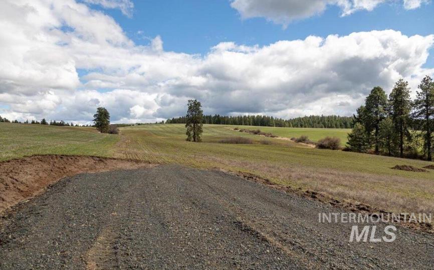 Nka Clifford Road Princeton, ID 83857 - Photo 15 of 21 View of road with a view of countryside
