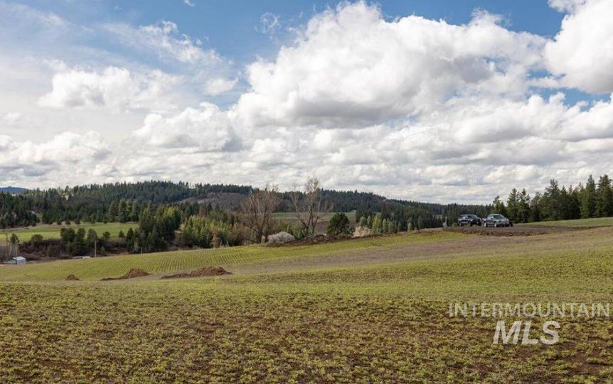 Nka Clifford Road Princeton, ID 83857 - Photo 16 of 21 Mountain view featuring rural landscape