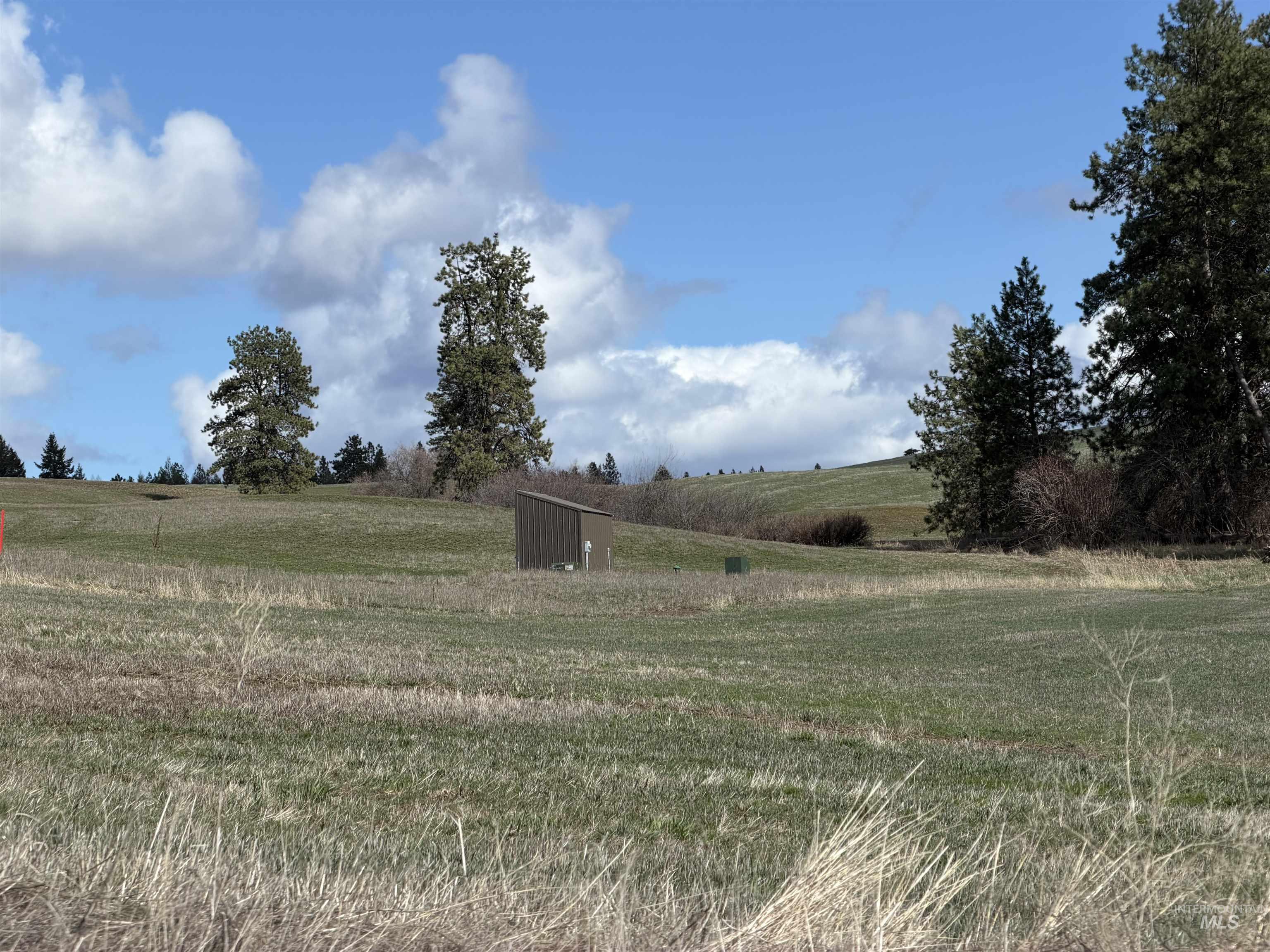 Nka Clifford Road Princeton, ID 83857 - Photo 20 of 21 View of green lawn featuring a rural view