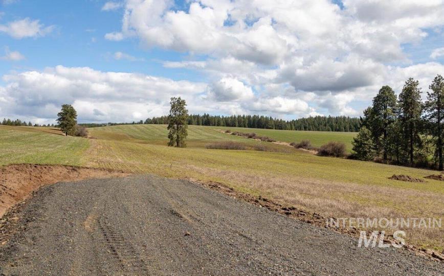 Nka Clifford Road Princeton, ID 83857 - Photo 3 of 21 View of street featuring a view of rural / pastoral area