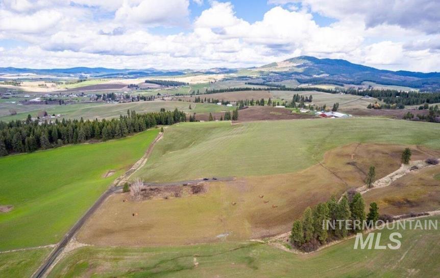 Nka Clifford Road Princeton, ID 83857 - Photo 4 of 21 Overview of rural landscape with a mountain backdrop