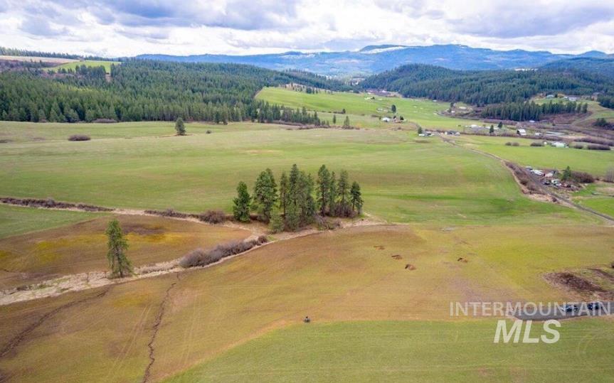Nka Clifford Road Princeton, ID 83857 - Photo 5 of 21 Overview of rural landscape with a mountain backdrop and a heavily wooded area