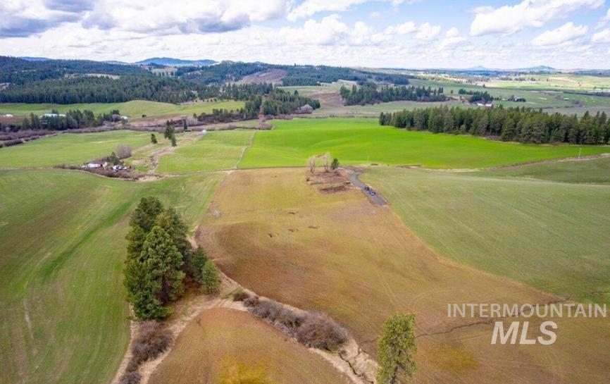 Nka Clifford Road Princeton, ID 83857 - Photo 7 of 21 Aerial view of sparsely populated area