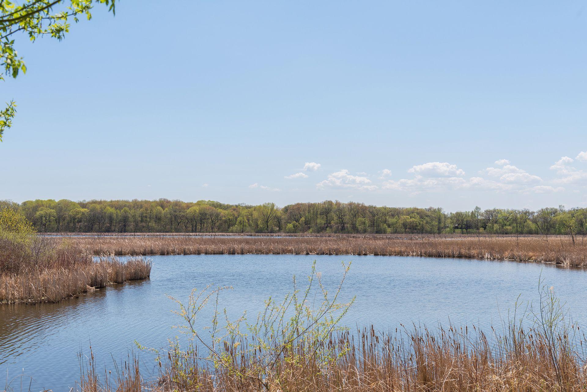 18566 Magenta Bay Eden Prairie, MN 55347 - Photo 80 of 80