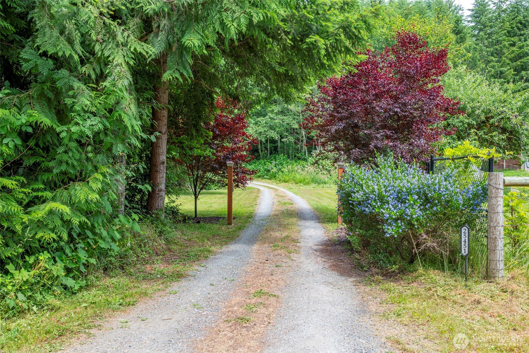 25451 Lake Cavanaugh Road Mount Vernon, WA 98274 - Photo 23 of 40 a view of a garden with plants