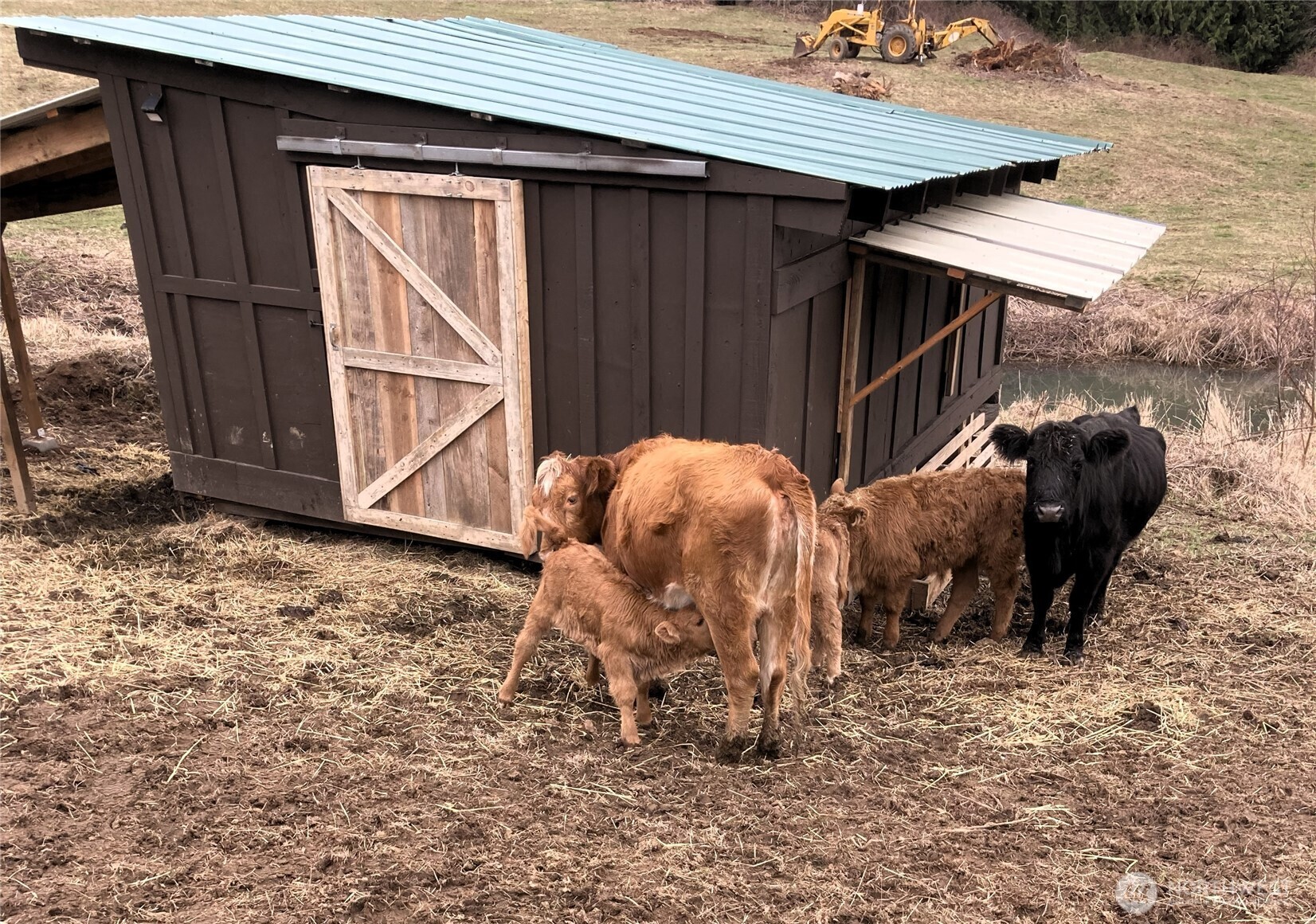 25451 Lake Cavanaugh Road Mount Vernon, WA 98274 - Photo 37 of 40 a front view of house with patio