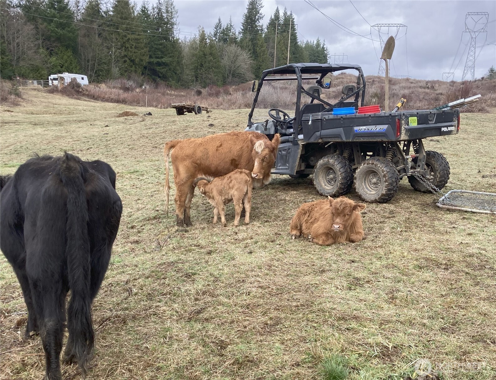 25451 Lake Cavanaugh Road Mount Vernon, WA 98274 - Photo 38 of 40 a view of roof deck with table and chairs a barbeque with wooden floor and fence