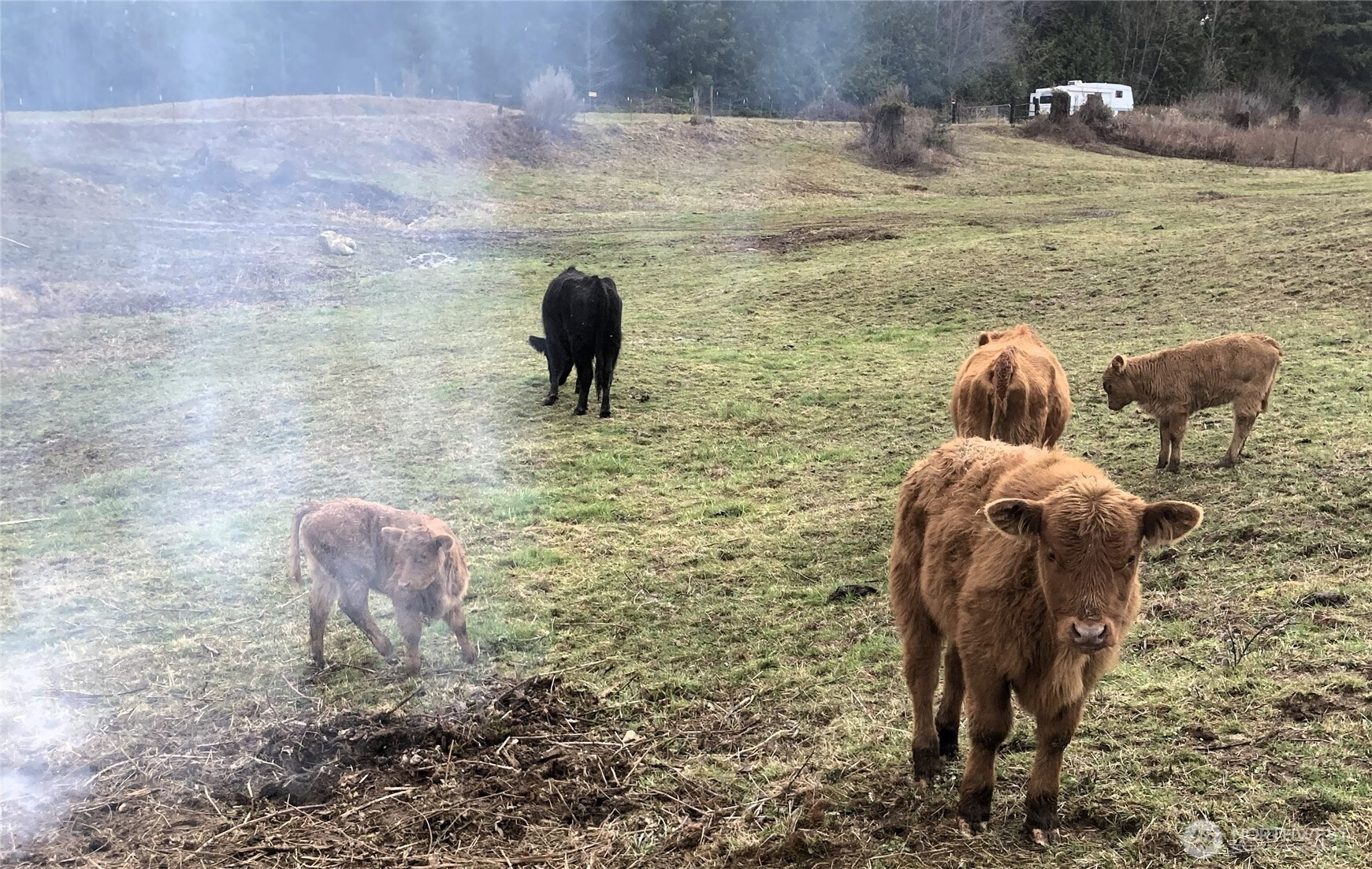 25451 Lake Cavanaugh Road Mount Vernon, WA 98274 - Photo 39 of 40 a front view of a garden