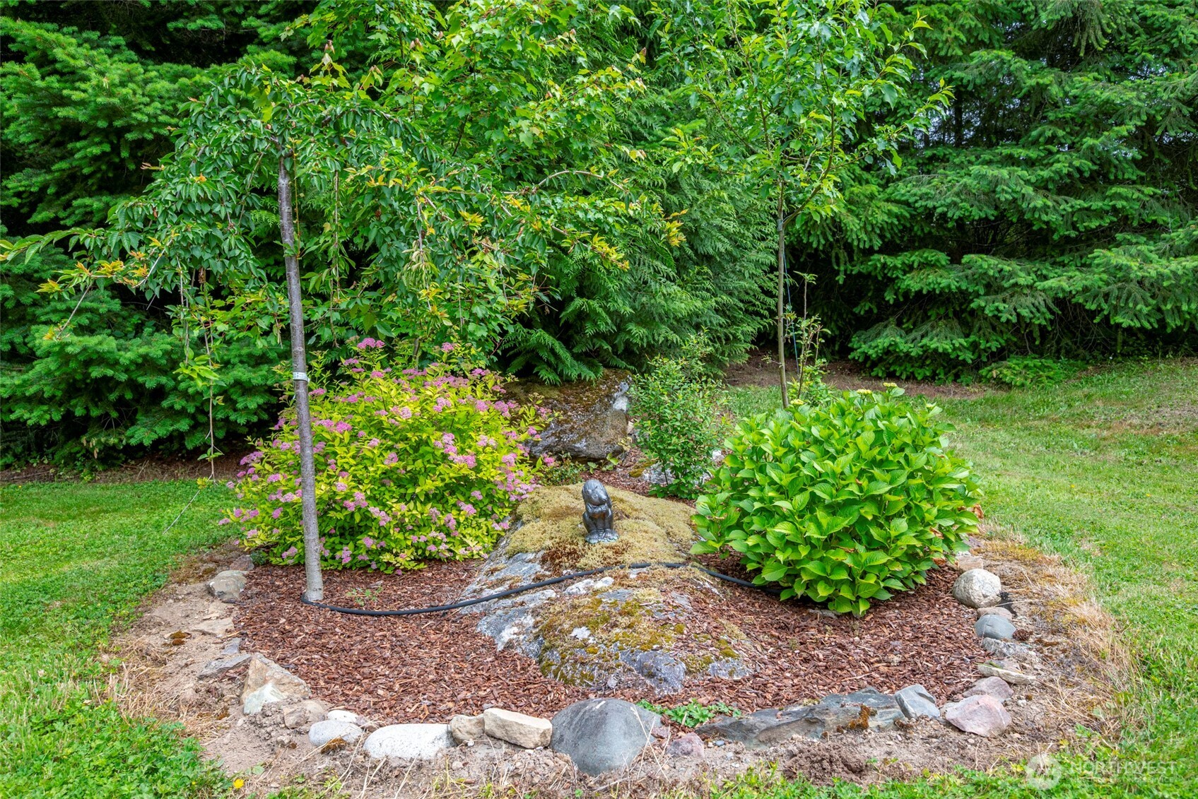 25451 Lake Cavanaugh Road Mount Vernon, WA 98274 - Photo 6 of 40 a view of a garden with plants