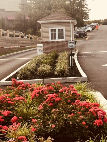 822 Main Street, Unit E Nutley, NJ 07110 - Photo 12 of 14 a view of a street with flower on side of it