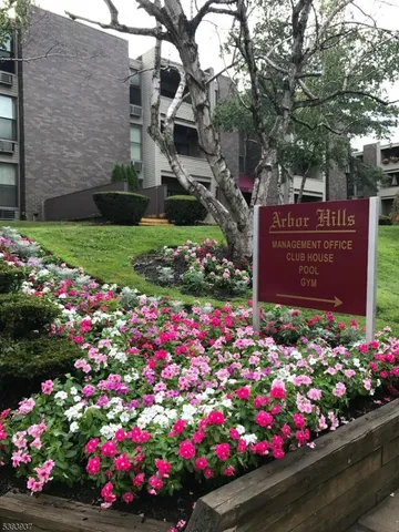 a view of a flower in a yard