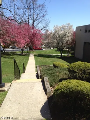 a view of a lake with a garden