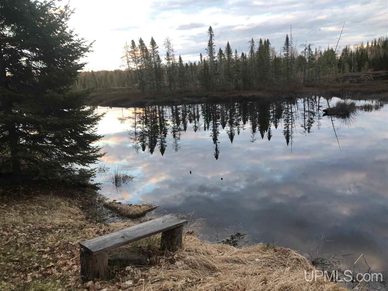 5.9-ac Off Chaney Coves Road, Unit 5 Bessemer, MI 49911 - Photo 6 of 12