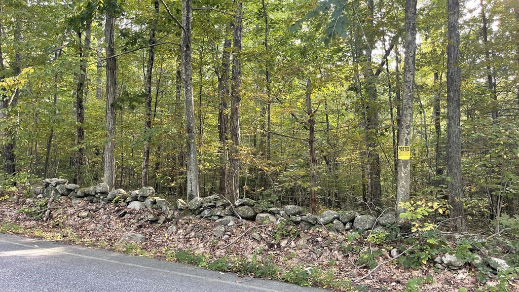 Lot 2 Thompson Pond Road Spencer, MA 01562 - Photo 9 of 14 Gallery Image 9