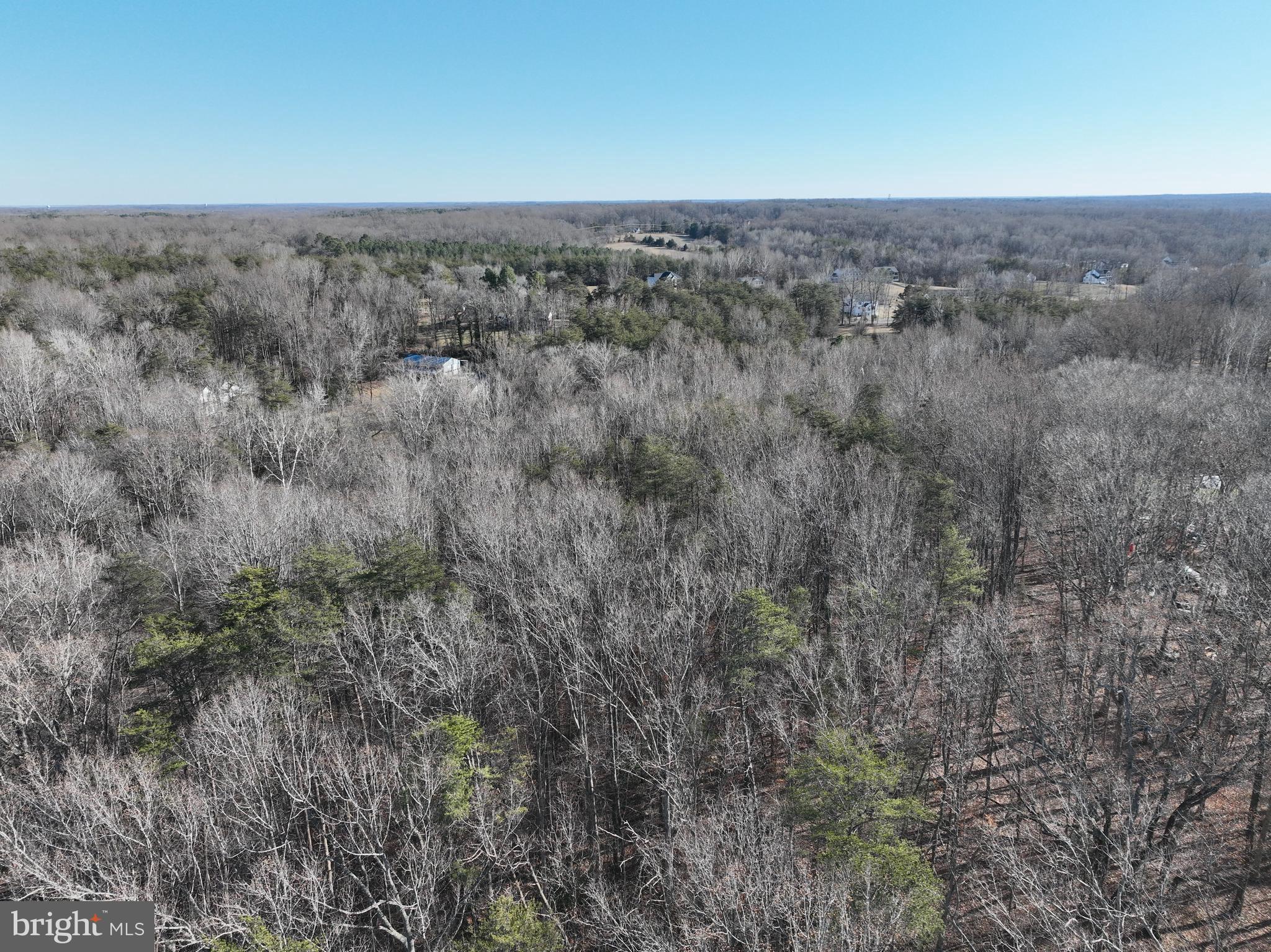 17 J Stefaniga Road Stafford, VA 22556 - Photo 2 of 5 a view of a big yard with lots of tall trees