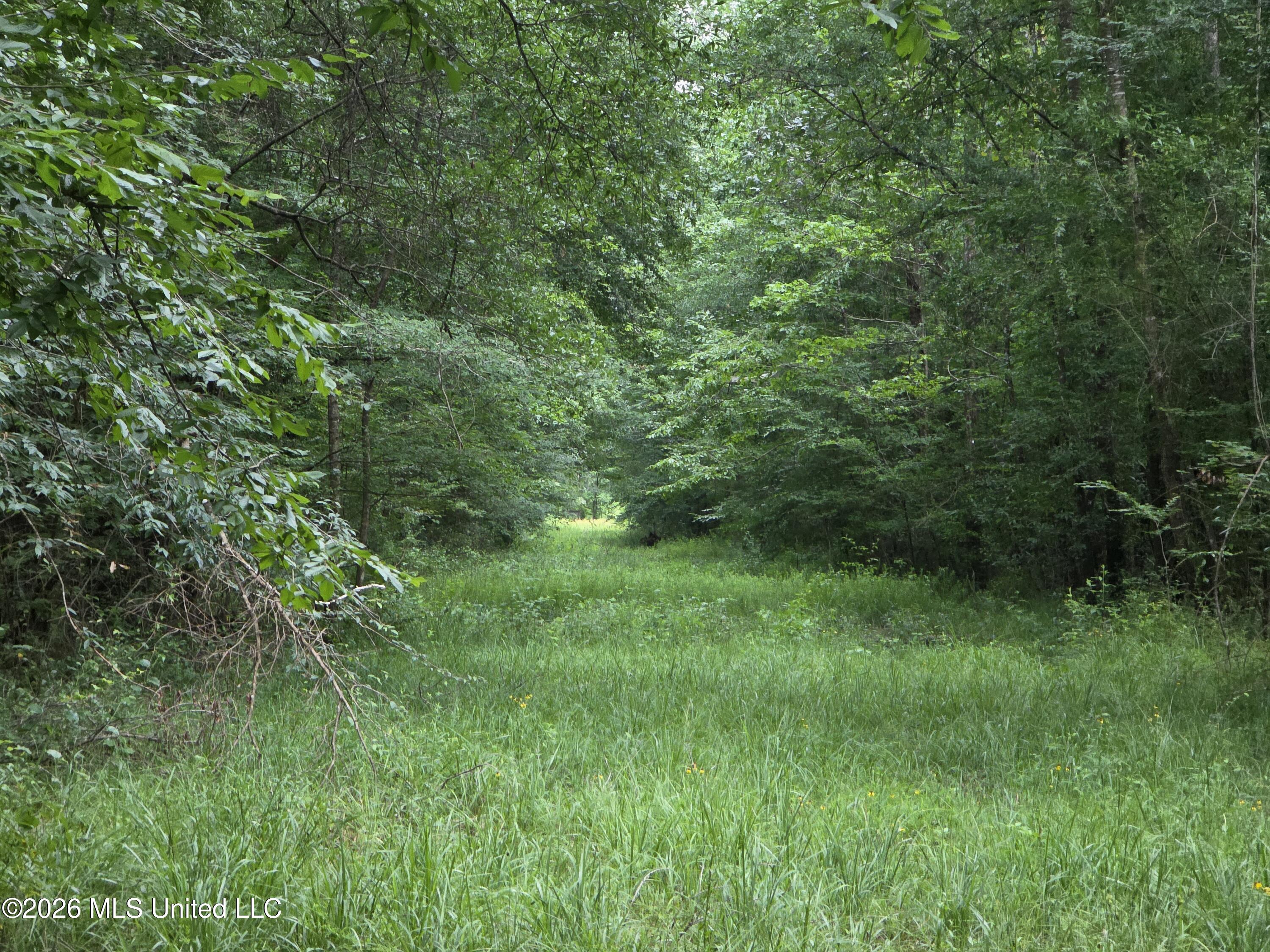 244 Foster Road Sontag, MS 39665 - Photo 81 of 105 35762