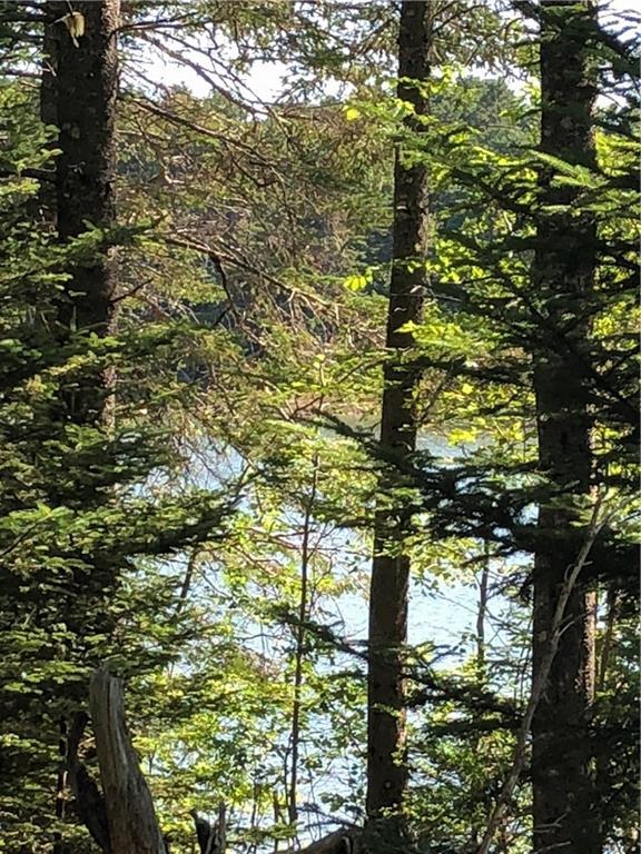Lot #5 Hardy Point Road Pembroke, ME 04666 - Photo 16 of 19 Photo