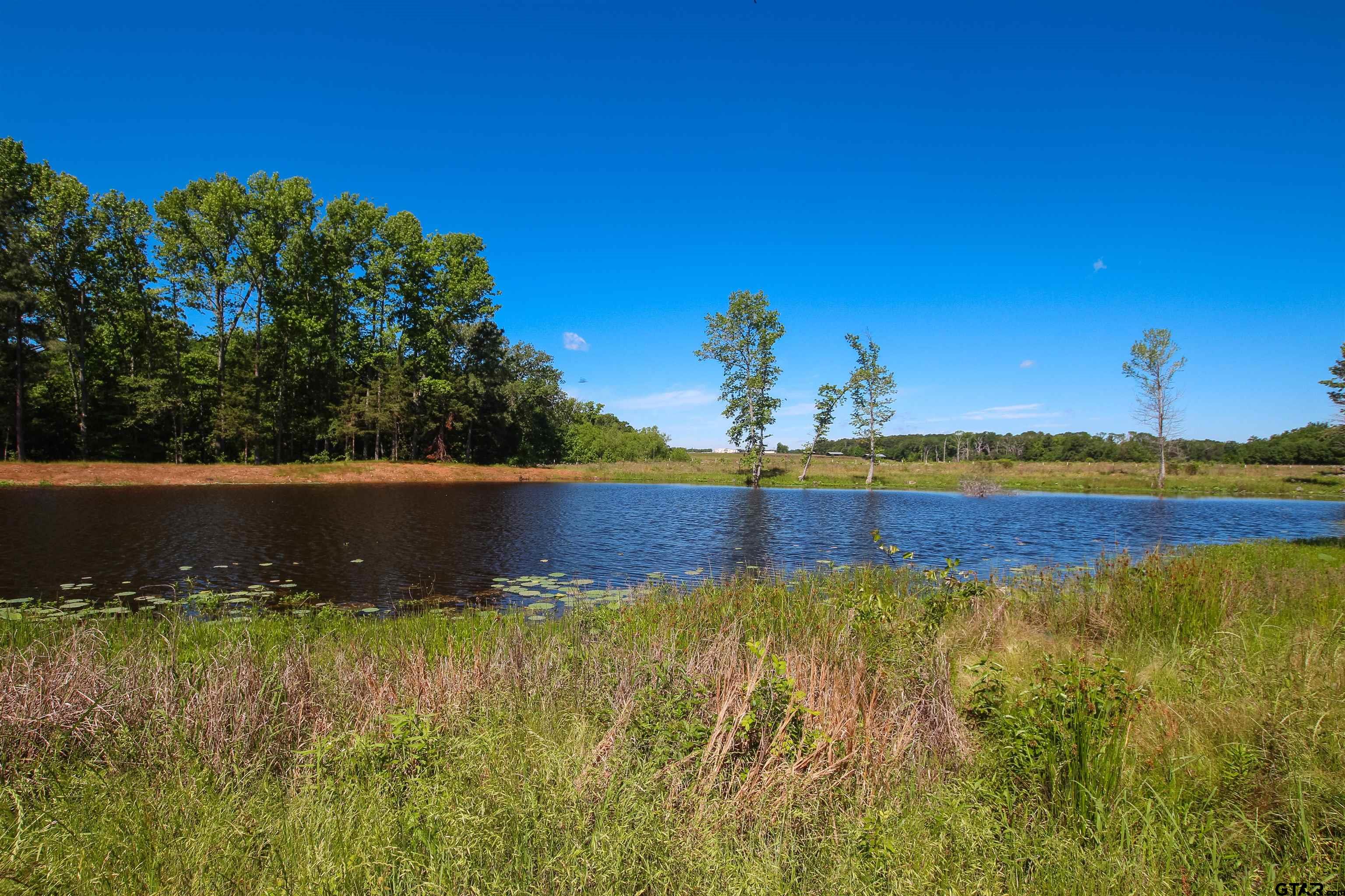 16391 Beacons Jet Court Lindale, TX 75771 - Photo 4 of 5 a view of lake view