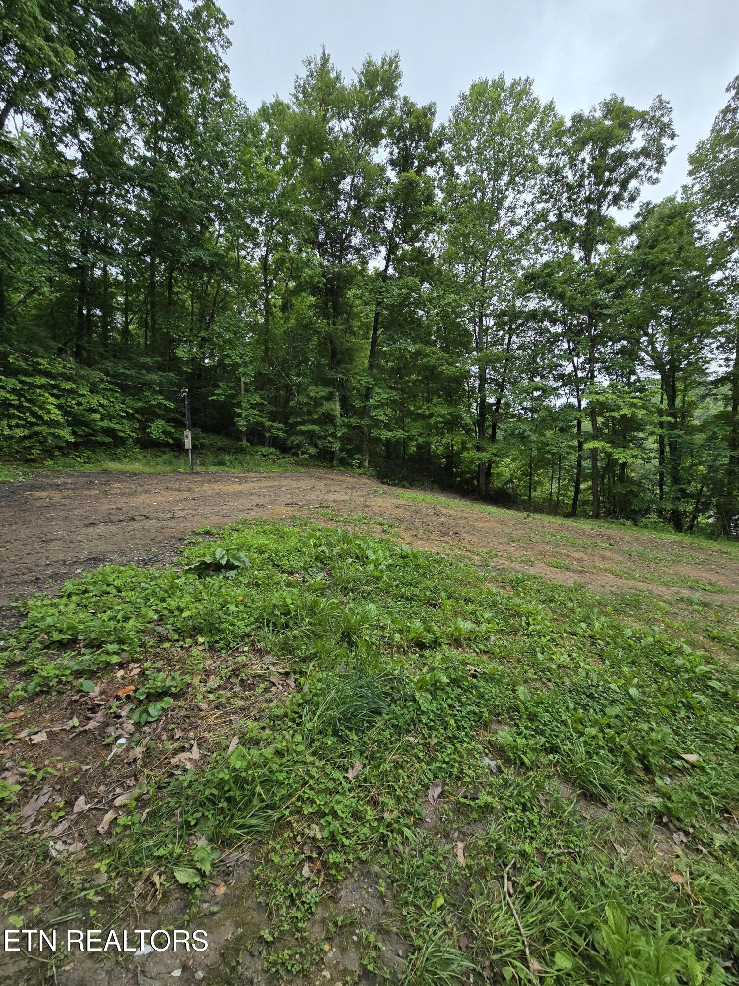 689 Ivey Hollow Road La Follette, TN 37766 - Photo 7 of 12 1000007095