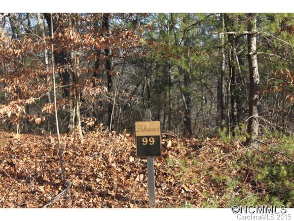 V/l # 99 West V/l Road Marion, NC 28752 - Photo 2 of 6
