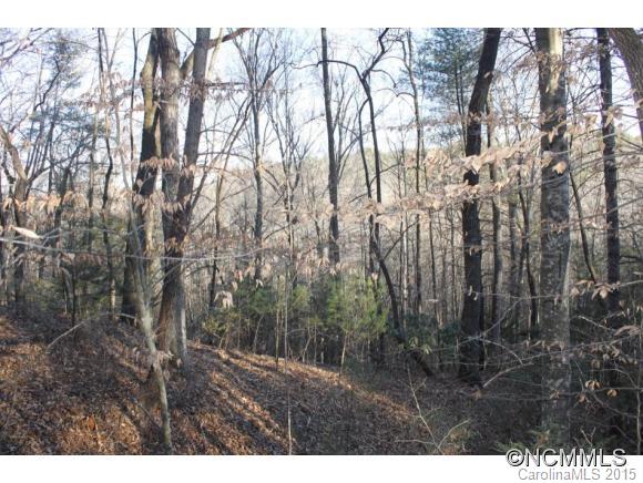 V/l # 99 West V/l Road Marion, NC 28752 - Photo 3 of 6