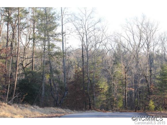 V/l # 99 West V/l Road Marion, NC 28752 - Photo 4 of 6