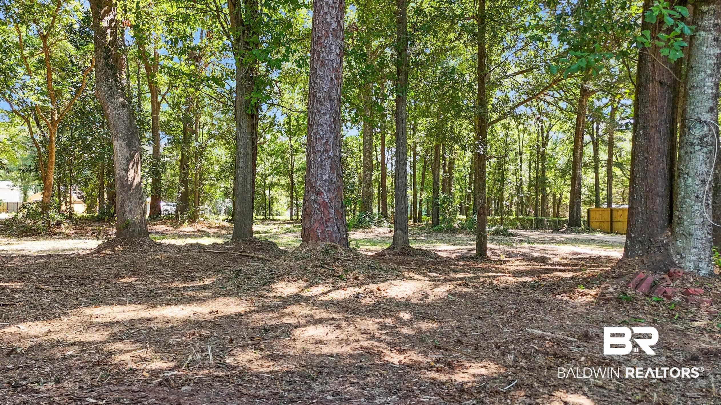 1720 Leroy Stevens Road Mobile, AL 36695 - Photo 13 of 72