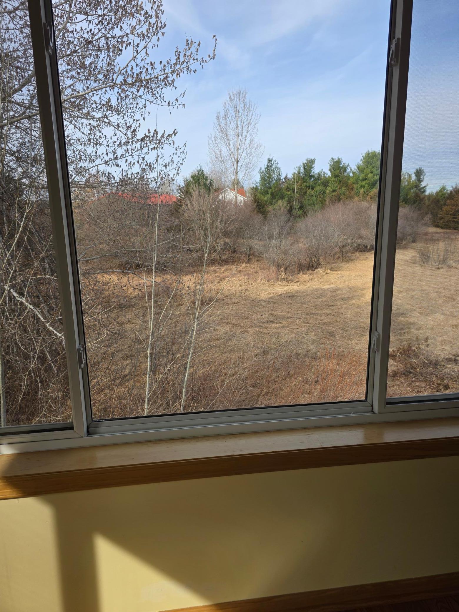 820 Shady Ridge Lane Braham, MN 55006 - Photo 6 of 14