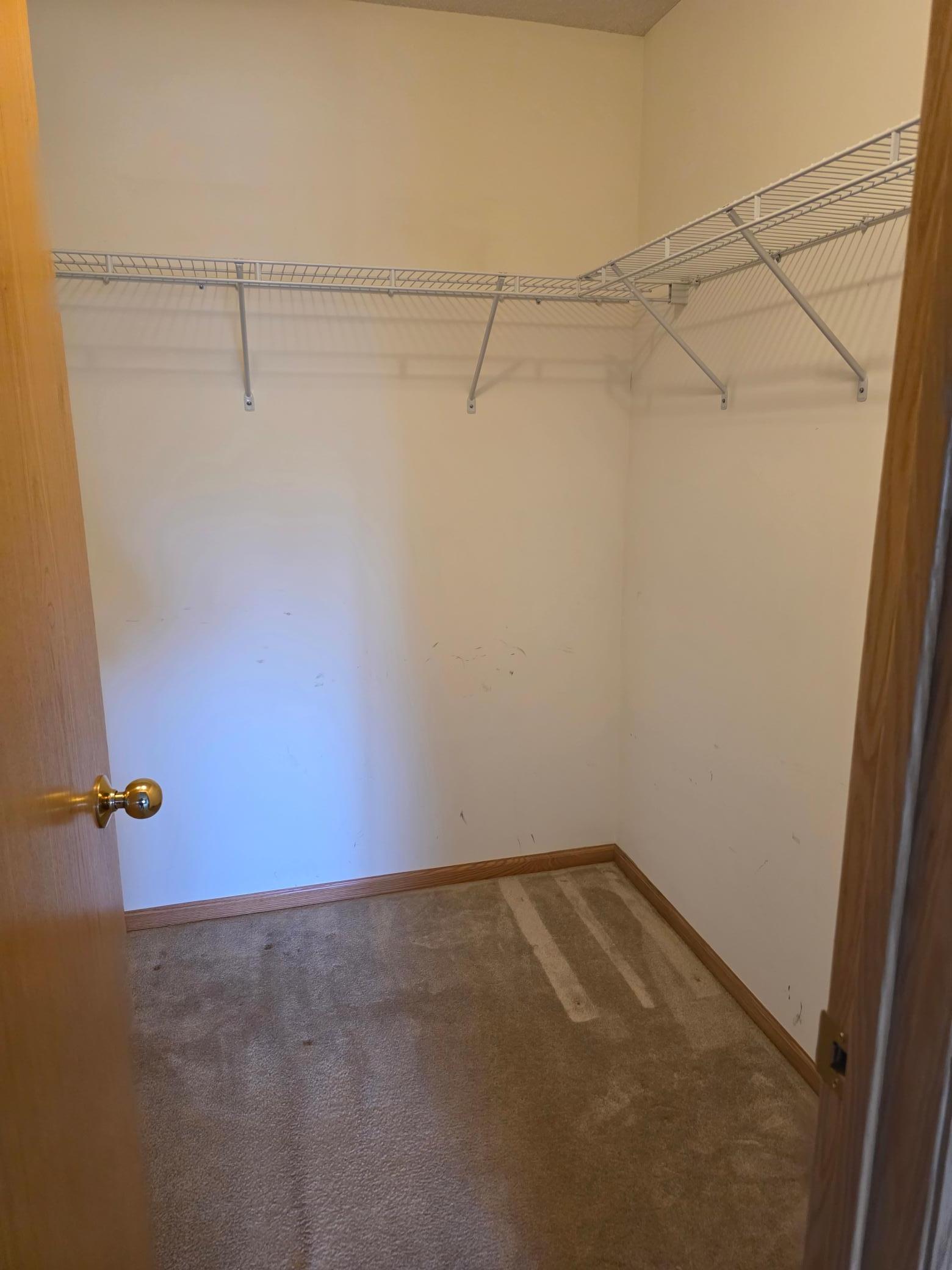 820 Shady Ridge Lane Braham, MN 55006 - Photo 8 of 14