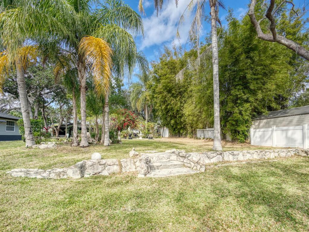 6746 River Road New Port Richey, FL 34652 - Photo 45 of 55 a view of a yard with a house